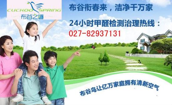 甲醛味道怎么治理?