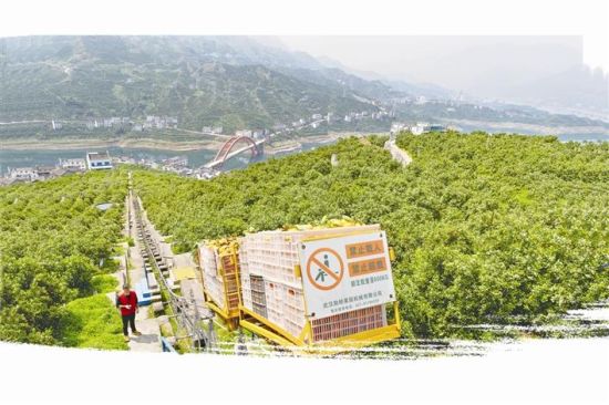 电动侨,轨道车让秭归脐橙“跑”出大山