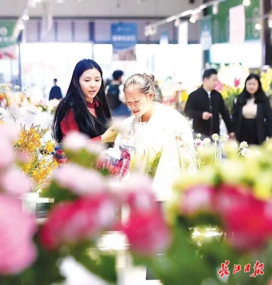 �����ں������ʻ�չ�����͡������ʻ��������ձ������ܳ� ��