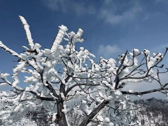 ľ��ɽ�����һ��ѩ���ɺ� ��