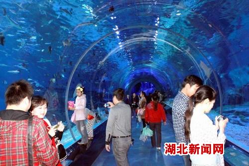 海昌武汉极地海洋公园内