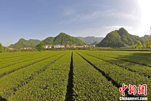 收入证明_农民的收入来源(2)
