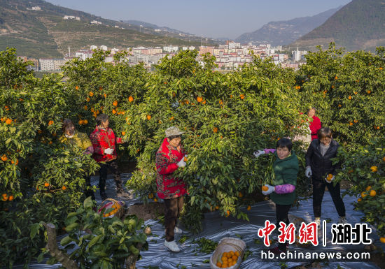 宜昌有钱人排行榜_最新名单!宜昌5人上榜(2)