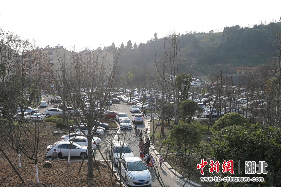 宜昌市磨基山森林公园的生态停车场停满各色私家车辆