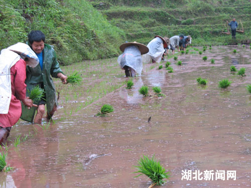 宣恩有多少人口_宣恩县城区民族一路停车位将取消 现公开征求意见(2)
