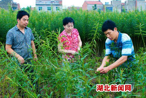 襄阳市襄州区程河镇就近的火车票售点在哪里