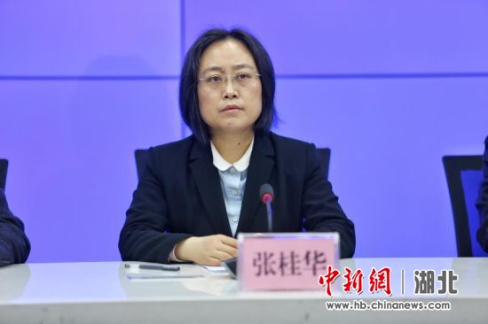 宜昌市委副书记,市委政法委书记张桂华出席发布会并作主题发布 王康荣