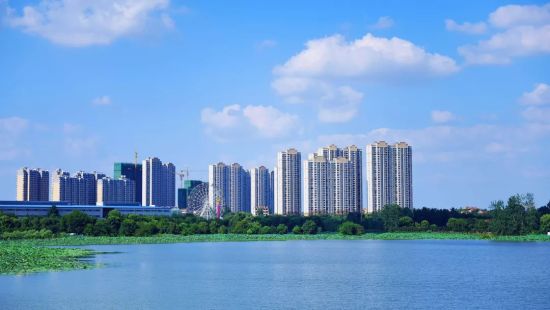 武汉市蔡甸区全力建设生态新城和产业新城