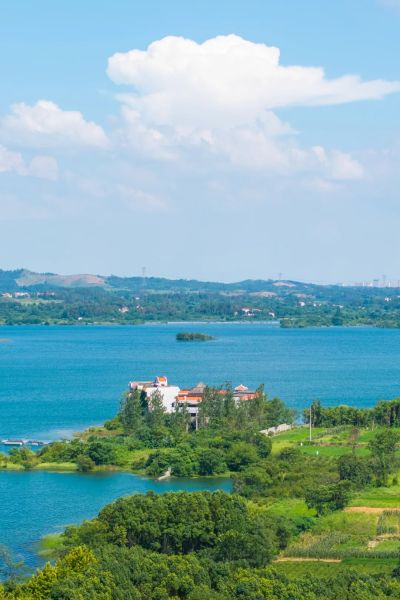 ľ���������人Ψһ���Ҽ����ζȼ���