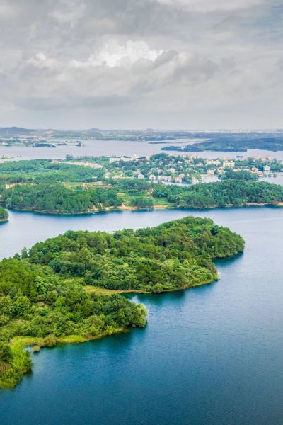 ľ����������