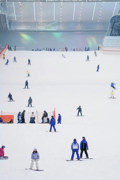 ��¶ɽ���ʻ�ѩ����