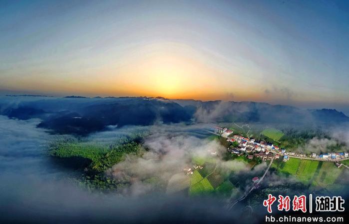 湖北兴山：以生态赋能乡村产业蝶变观察